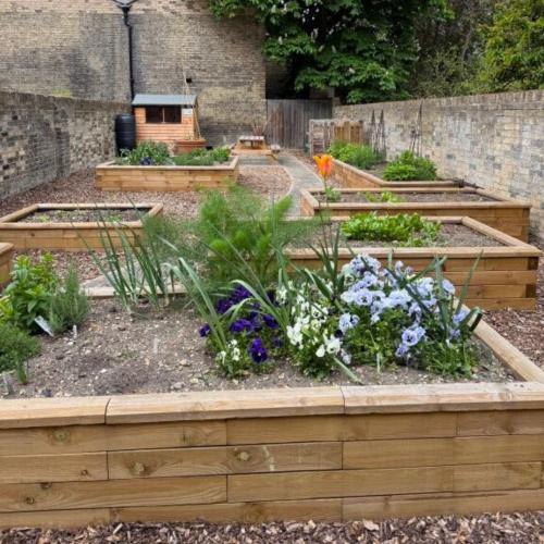 Proyecto de jardín comunitario del Emmanuel College de Cambridge