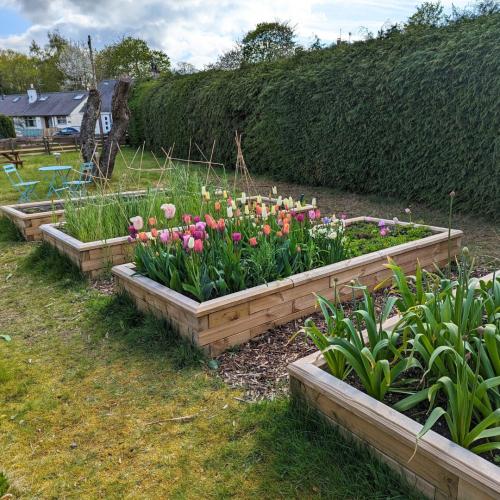 Jardineras de madera de Dan