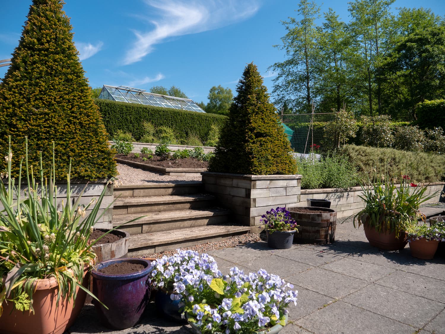 Beechgrove-May-2018-8337