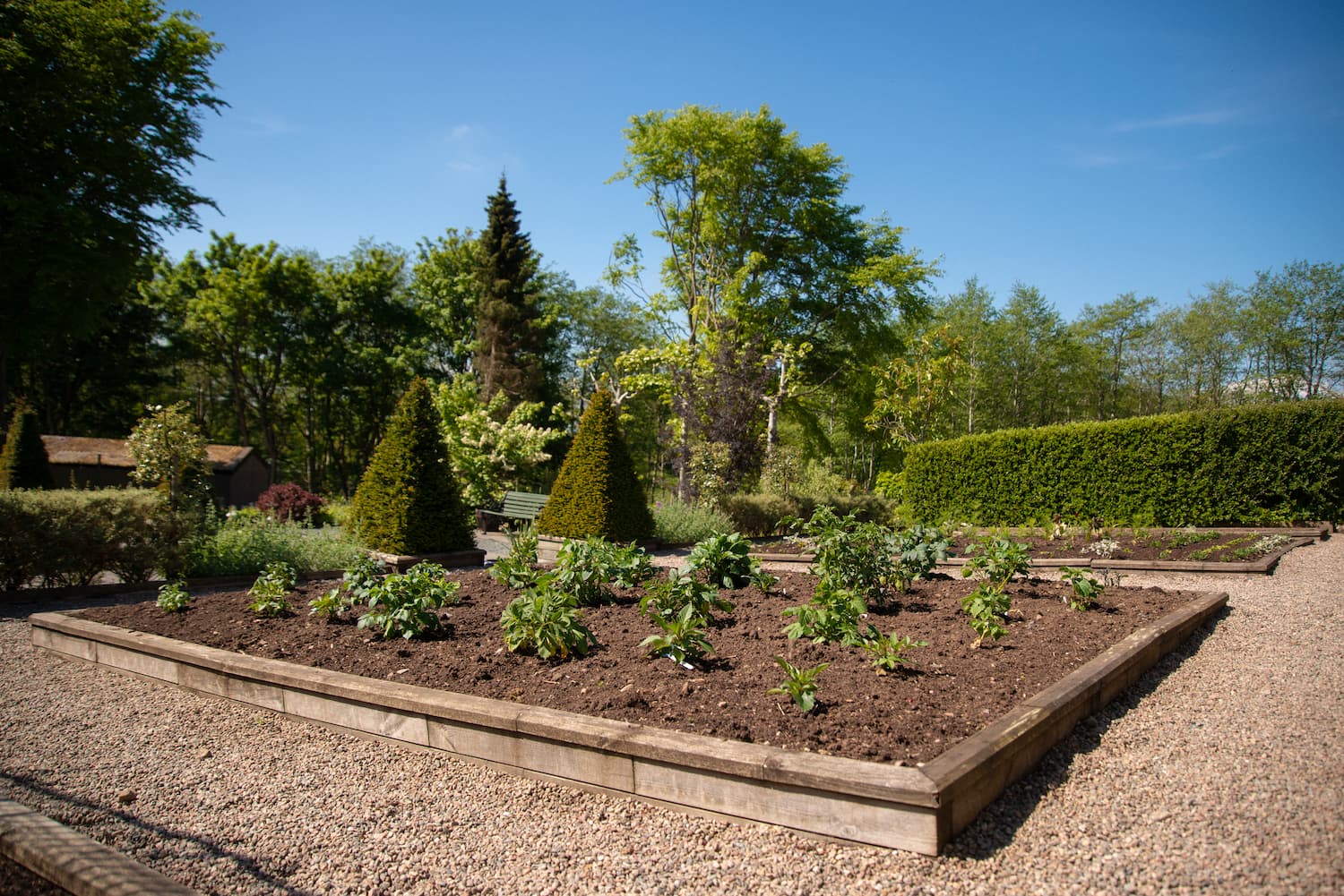 Beechgrove-May-2018-9681
