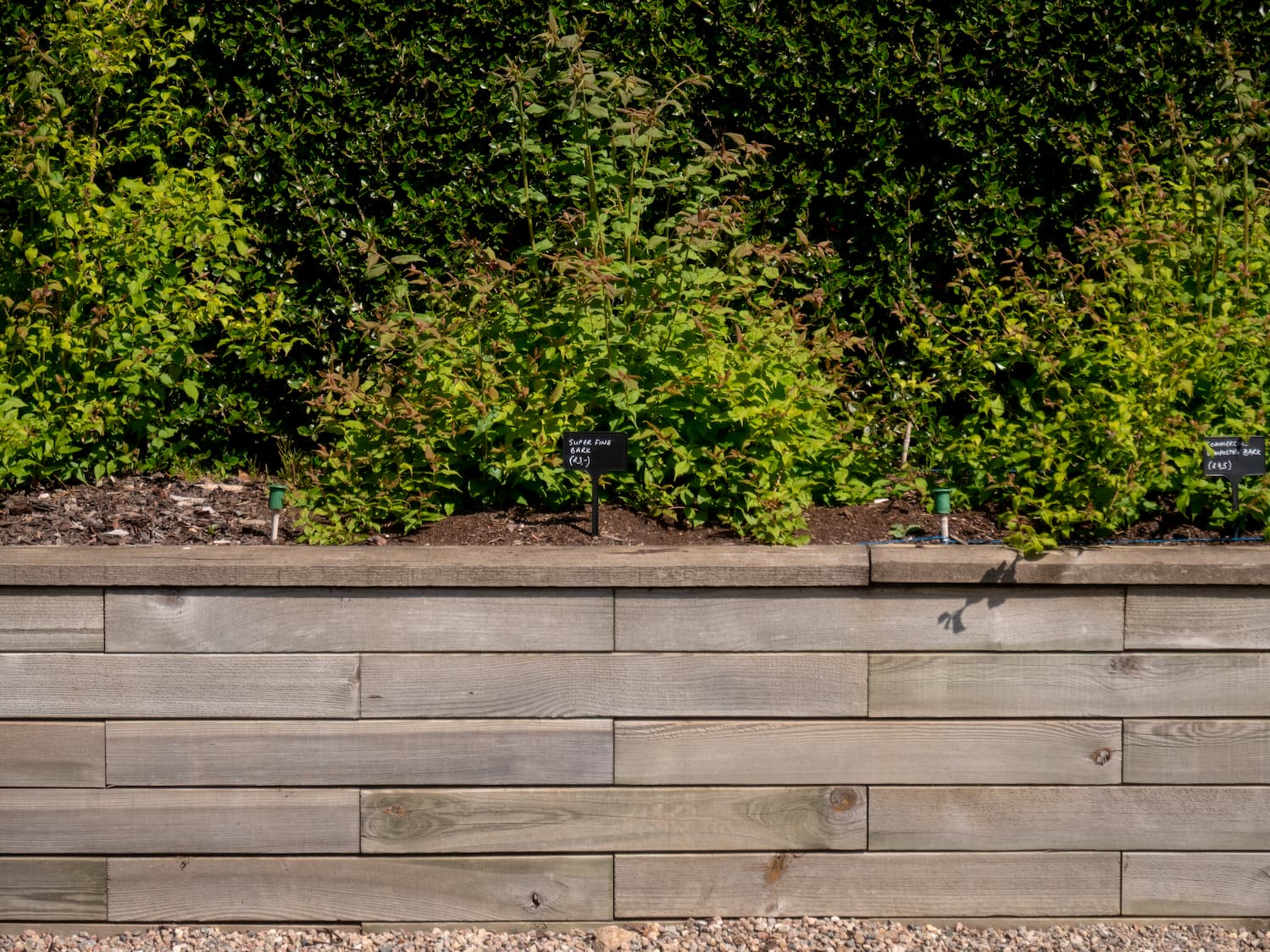 WoodBlocX raised beds at Beechgrove May 2018 WoodBlocX raised beds at Beechgrove May 2018