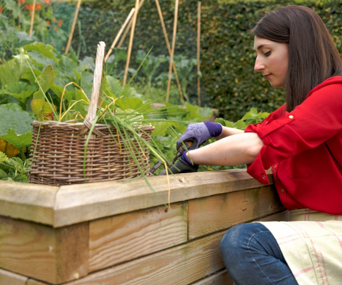 Liz WoodBlocX veggie patch