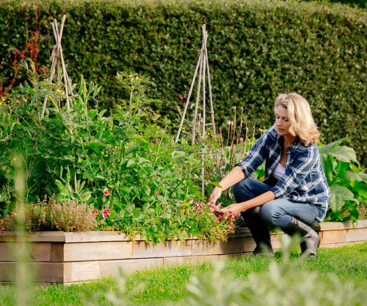 WoodBlocX beds