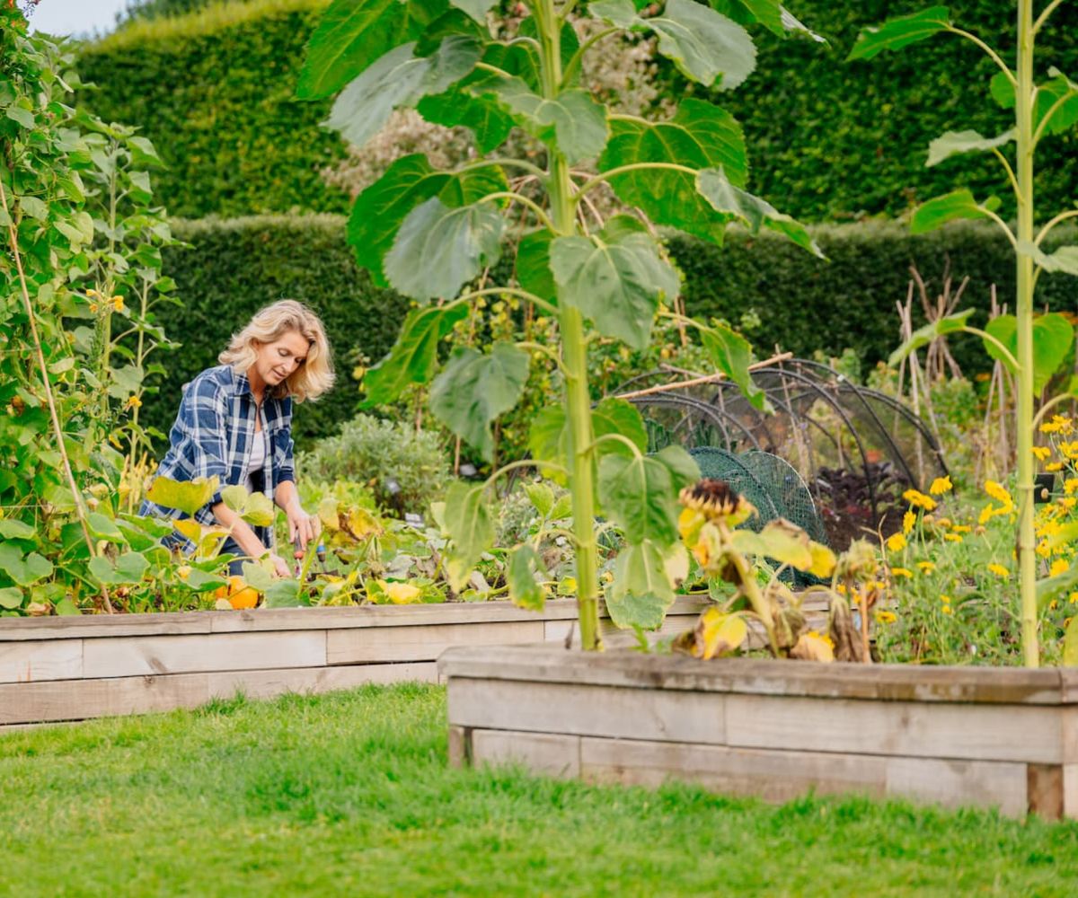 WoodBlocX vegetable patch