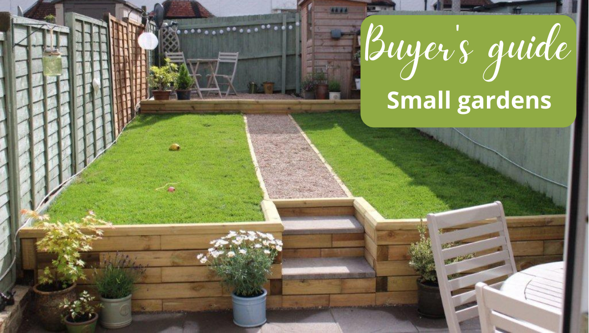 Make your garden really bloom this summer-4