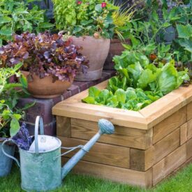 20 ideas de jardineras de madera con WoodBlocX ideas de jardineras